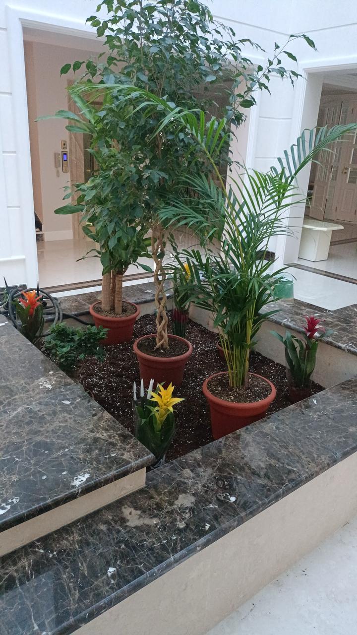 تنسيق حدائق بالدمام والخبر وتركيب العشب الصناعي والشلالات والمظلات والغرف الزجاتجية (290)